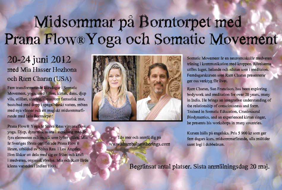 FLYER-BORNTORPET-pinkdark-W