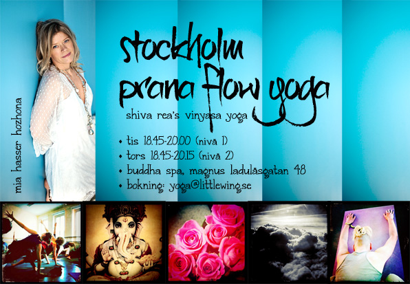 prana flow 2012 web