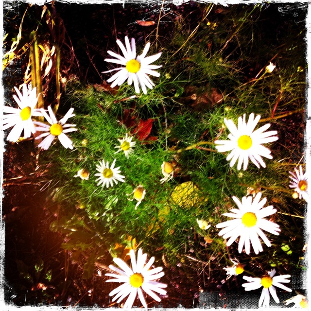 My HipstaPrint 0