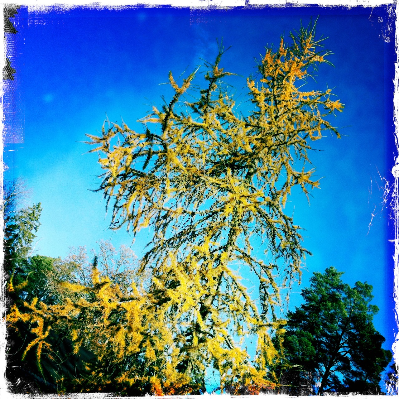 bild (1)