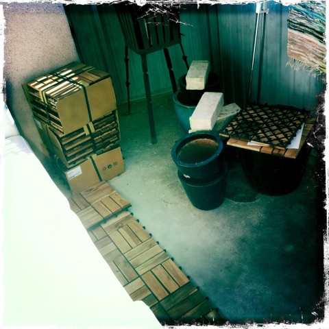 20110416-154253.jpg