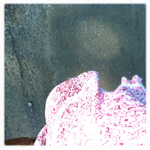 20110708-163947.jpg