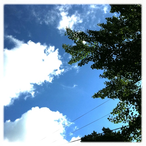 20110712-092439.jpg