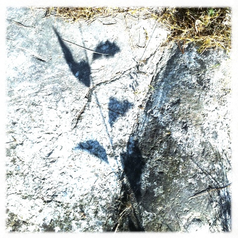 20110712-092447.jpg
