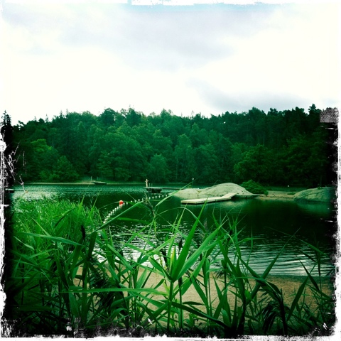 20110716-091559.jpg
