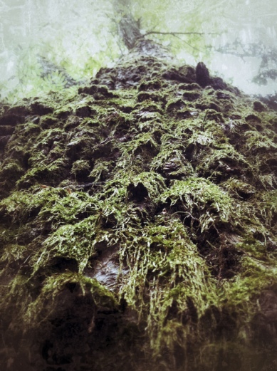 20120606-175246.jpg