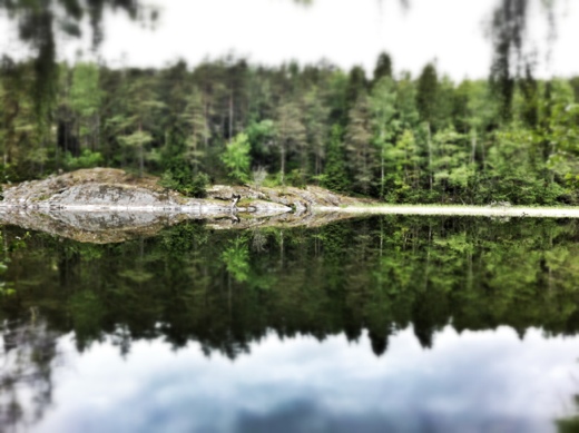 20120606-175433.jpg