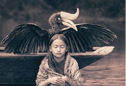girl bird