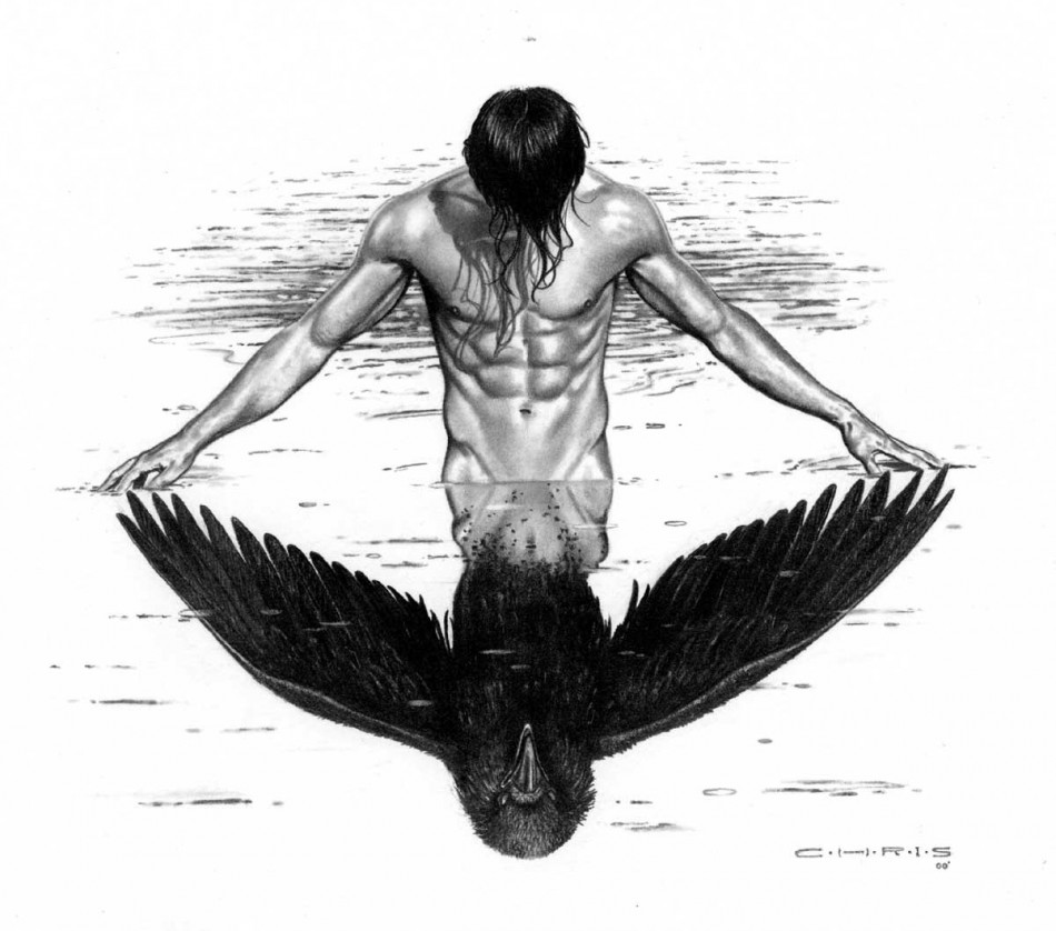 raven